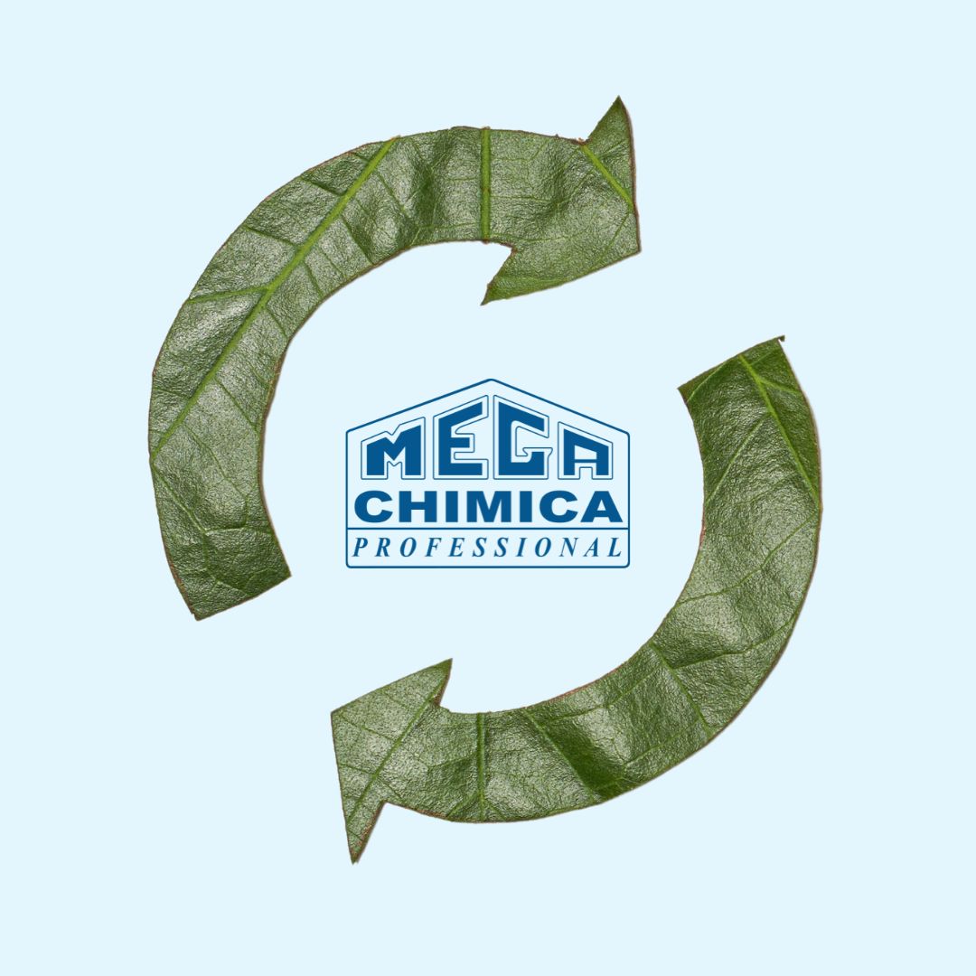MEGA CHIMICA ECONOMIA CIRCOLARE